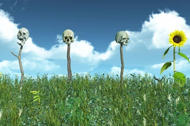 Visual Paradox Free 3D Wallpapers 'Duality' 3840x1200 Dualscreen ...