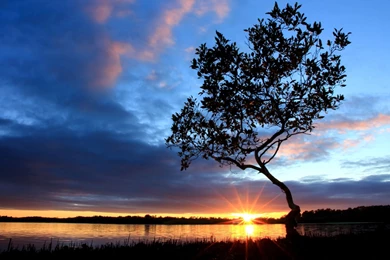 Sunset Pelican Island Australia Wallpapers