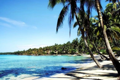 Beautiful Tropical Beach Wallpapers