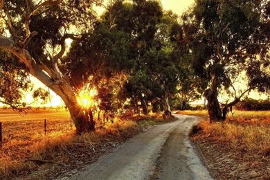 Australia   Photo Wallpapers And Pictures With The Cities Of ...