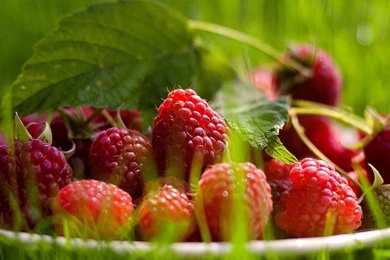 Download Mobile Wallpaper: Food, Background, Raspberry, Free. 27762.