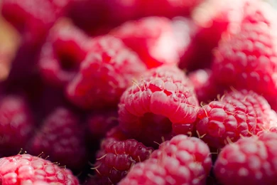 Marie Sturges Raspberry_2560x1440.jpg