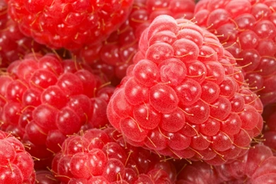 Download Wallpapers 1920x1200 Raspberry, Berry, Ripe 1920x1200 HD ...