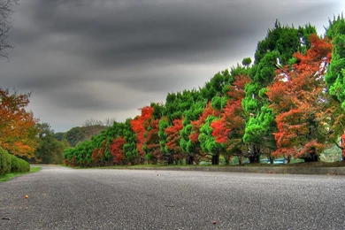 Nature For PC HD Wallpapers.jpg