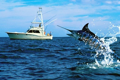 Fishing Boat HD Wallpapers