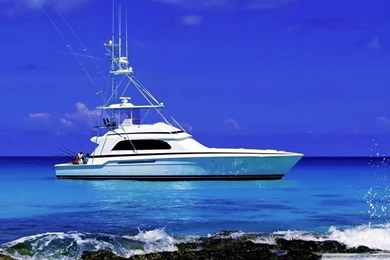 Sea Fishing HD Desktop Wallpapers : High Definition : Fullscreen ...