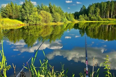 Fishing In The Calm Pond Wallpapers   Nature Wallpapers