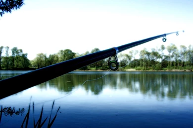 Fishing Rod : Desktop And Mobile Wallpapers : Wallippo
