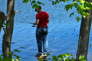 July 2009 Desktop Calendar Wallpapers