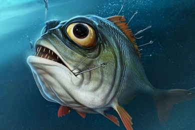 Crappie Fishing Wallpapers