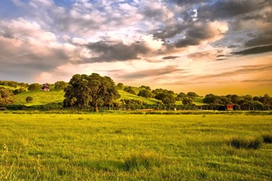 InterfaceLIFT: 1280x1024 Wallpapers Sorted By Comments