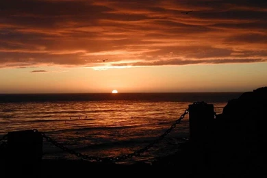 Wallpaper, Ubuntu, Beach   8535