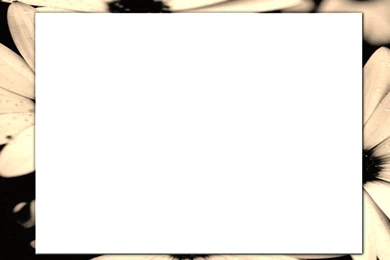 Word Backgrounds   Invitation Templates