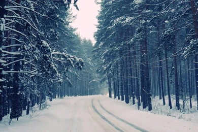 Snowy Road Through The Forest Wallpapers   Nature Wallpapers