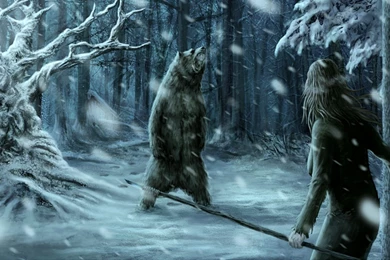 Snow Forest Wallpapers 2015   Grasscloth Wallpapers