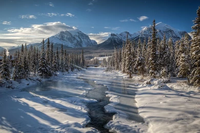 Frozen River Passing Through The Snowy Forest Wallpapers 24451