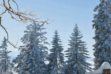 Winter Wallpapers For Iphone 6   HD Wallpaper Backgrounds Of Your ...