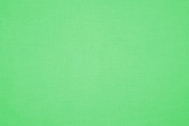 Solid Light Green   Wallpaper.