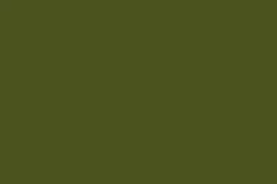 1920x1200 army green solid color background.jpg