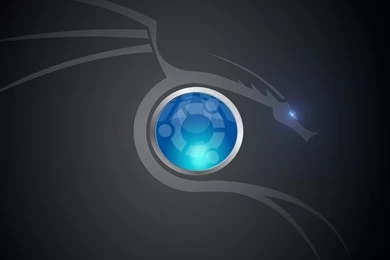 Free Download Wallpapers HD : Dragon Wallpapers HD