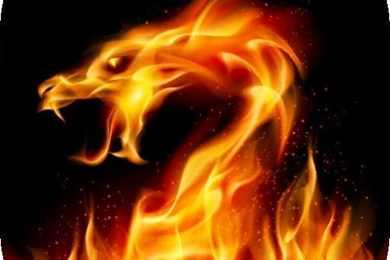 Dragon Wallpapers, Themes And Backgrounds   Download Free HD ...