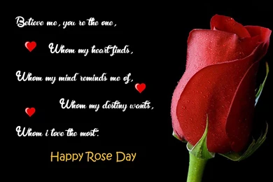 Happy Rose Day 2016 Images With Quotes HD Download   Best Whatsapp ...