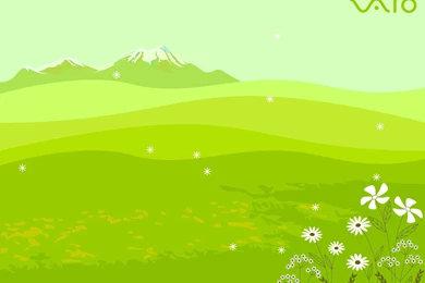 SONY Vaio 10th Aniversary Green Field 1600x1200 Wallpapers World ...