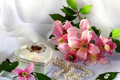 FEMININE WALLPAPER   (