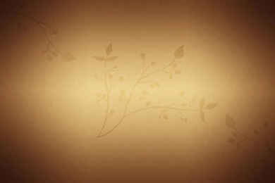 Cafe Menu Branch, Texture, 2880x1800 HD Wallpapers And FREE Stock Photo