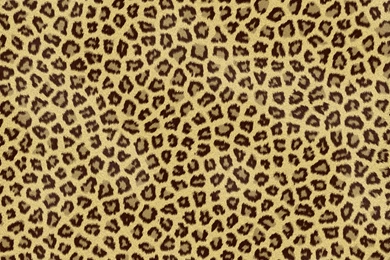 Great Seamless Images For A Fur Texture Or Fur Backgrounds