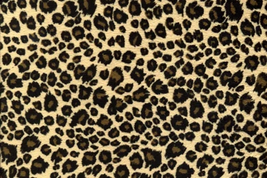 Leopard Print Wallpapers Best Car 2015