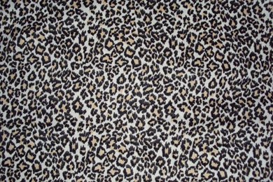 Download Another Leopard Texture Ghoulskout Deviantart Wallpapers ...
