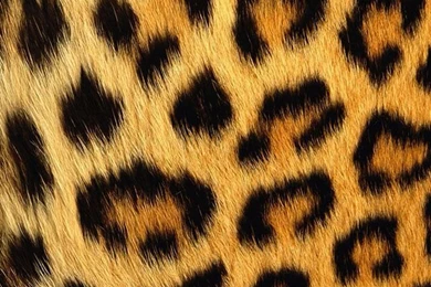 Gallery For   Iphone Wallpapers Leopard Print
