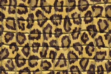 Leopard Backgrounds