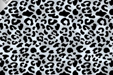 Leopard Vectors, Photos And PSD Files