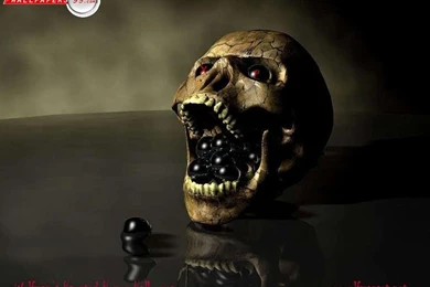 Scary Skull Wallpapers Picture Image 1024x768 18199