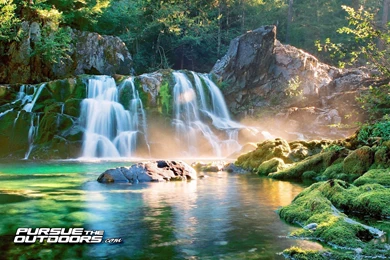 Free Desktop Wallpapers   Hunting, Fishing, Wildlife, And Nature ...