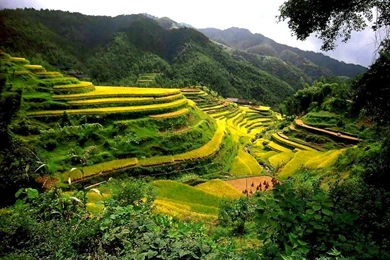 Gallery For   Free Wallpapers From China