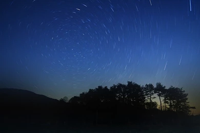 Download Wallpapers 1920x1080 Night, Stars, Beautiful, Grass, Trees ...