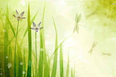 Grass Wallpapers   Vector Wallpapers