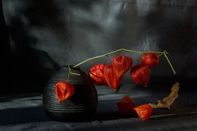 Download Wallpaper, Hd Images, Colorful, Amazing, Desktop Images ...