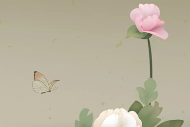 Flowers iPhone 5s Wallpapers