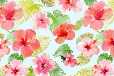 Summer Flowers, Floral Http://htctokok infinity.hu