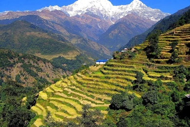 Trekking And Tour In Nepal: Some Of The Amazing Picture Collected ...