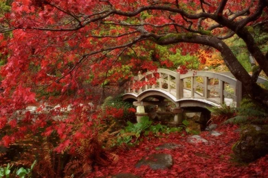 Amazing HD Wallpapers of Autumn.jpg