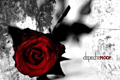 Browse Art   DeviantArt