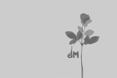 Depeche Mode : Grey Roses By IDAlizes On DeviantArt