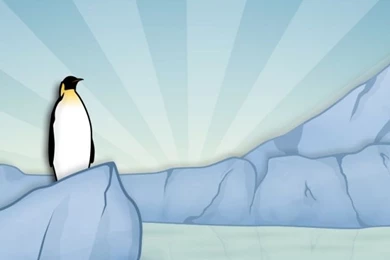 640x960 Lonely Penguin Iphone 4 Wallpapers