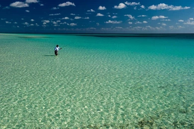 EAST END LODGE SNOOK