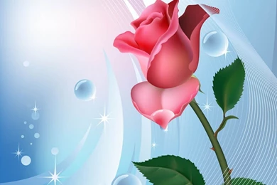 FreeVector Rose Background Template.jpg